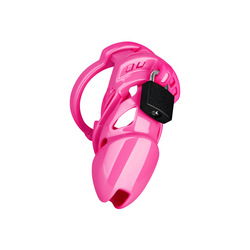 Chastity Standard
