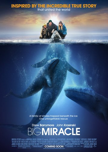 Der Ruf der Wale - Poster 2