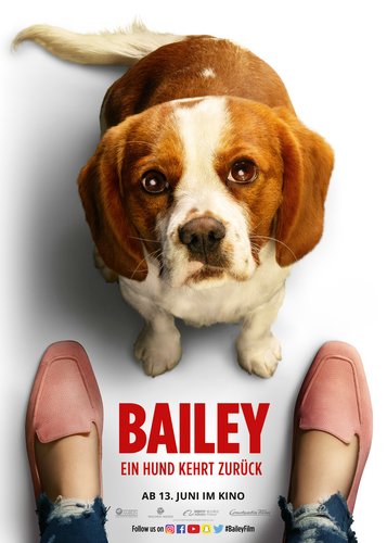 Bailey 2 - Ein Hund kehrt zurück - Poster 4