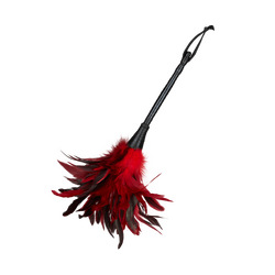 Frisky Feather Duster