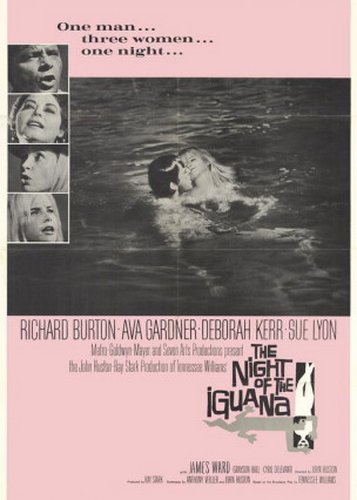 Die Nacht des Leguan - Poster 2