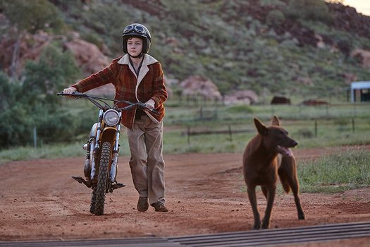 Red Dog Mein Treuer Freund Red Dog Mein Treuer Freund