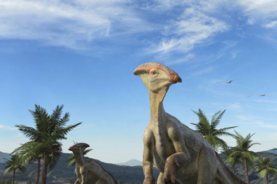 IMAX - Sea Rex 3D - Szenenbild 2