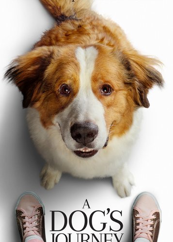 Bailey 2 - Ein Hund kehrt zurück - Poster 6