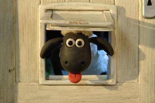 Shaun das Schaf - Waschtag - Szenenbild 6