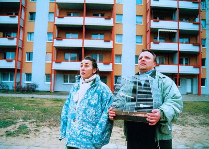 Halbe Treppe: DVD oder Blu-ray leihen - VIDEOBUSTER.de