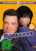 Roseanne - Staffel 6