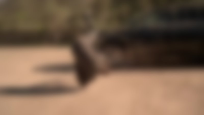 Close Range - Trailer - Englisch - HD