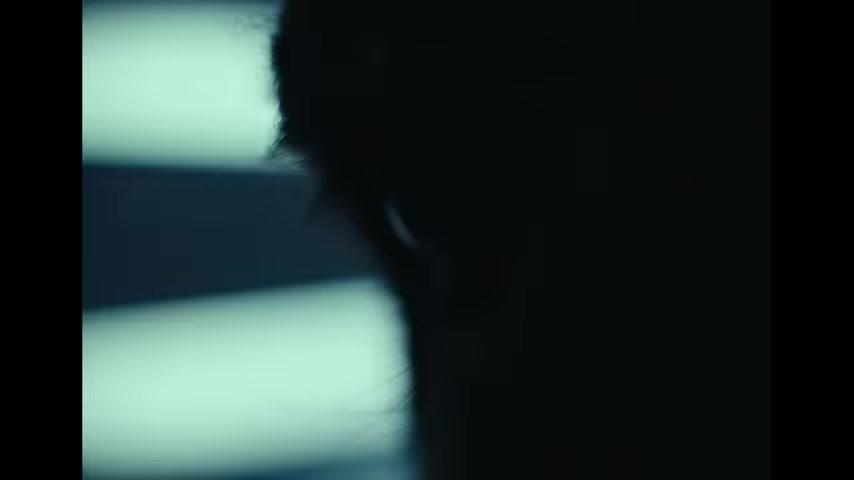 EO - Trailer - Englisch - SD