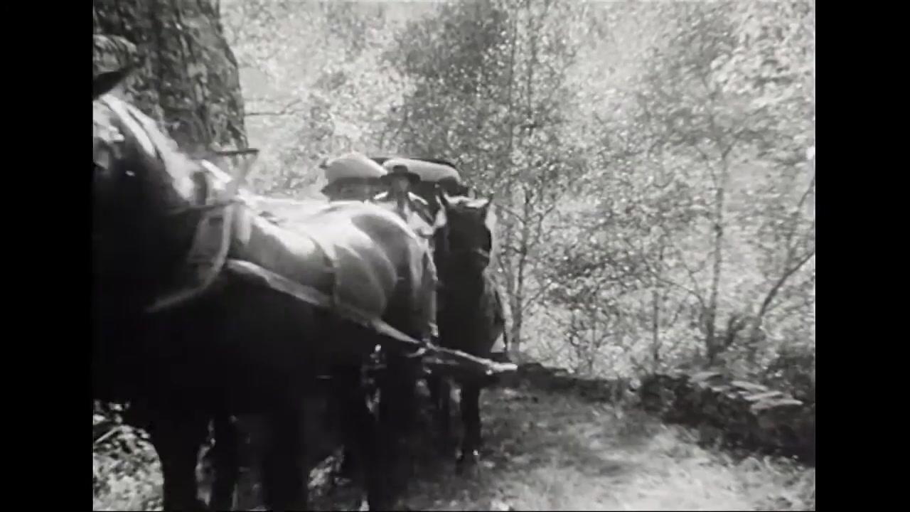 Das blaue Licht - Trailer - Deutsch - HD