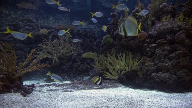 aquarium 4k blu ray aquarium 4k blu ray