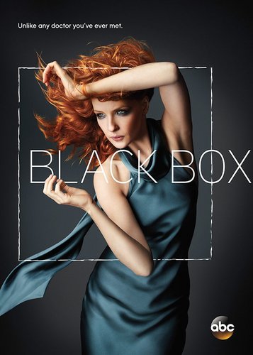 Black Box - Staffel 1 - Poster 1