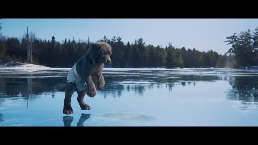Miau & Wau - Trailer - Französisch - SD