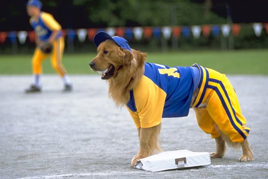 Air Bud 4 - Mit Baseball bellt sich's besser - Szenenbild 2