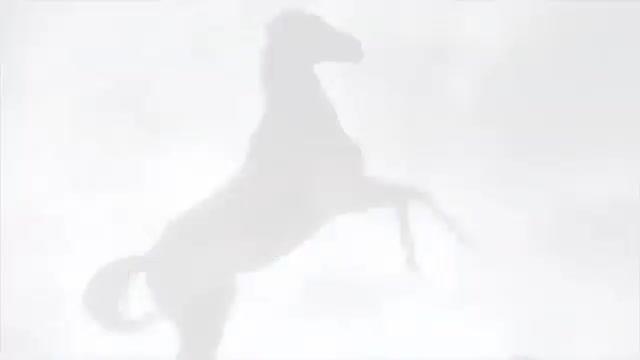 Ungezähmte Herzen - Trailer - Deutsch - SD