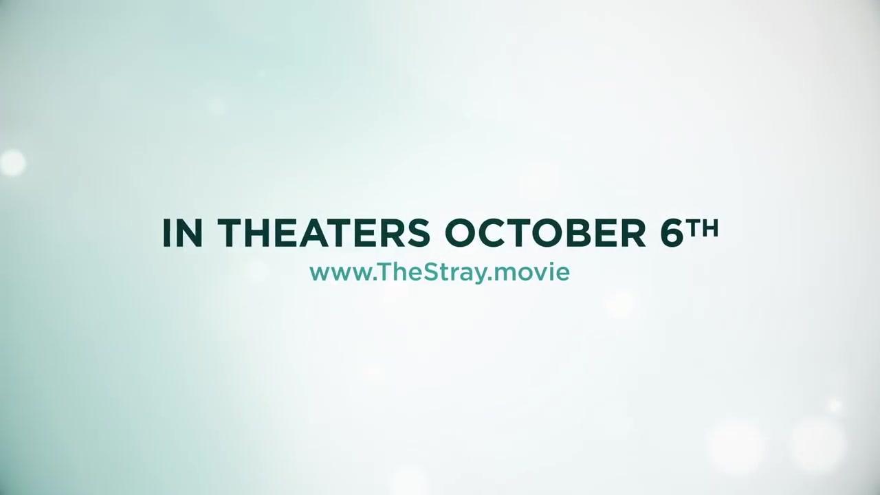 Pluto - Trailer - Englisch - HD