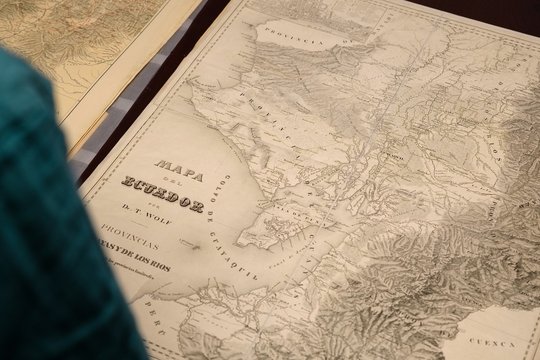 Wir, die Wolfs - Szenenbild 3