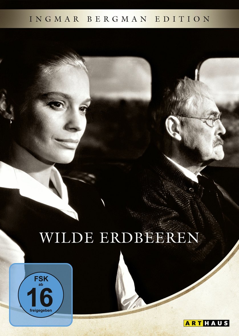 wilde erdbeeren stream wilde erdbeeren stream