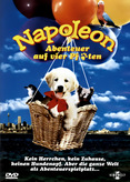 Napoleon - Abenteuer auf vier Pfoten