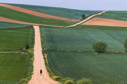 Mein Weg - 780 km zu mir - Szenenbild 4
