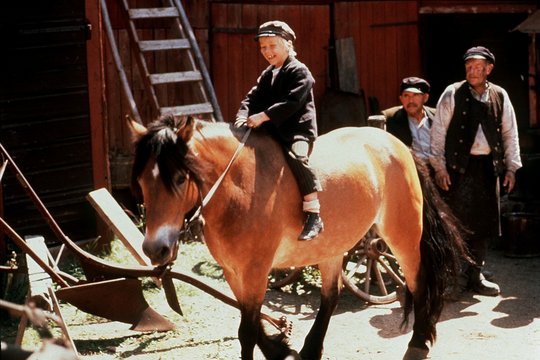 Michel aus Lönneberga - Die TV-Serie - Szenenbild 6