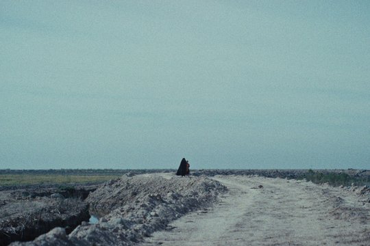 Ein Kuchen für den Präsidenten - Szenenbild 5