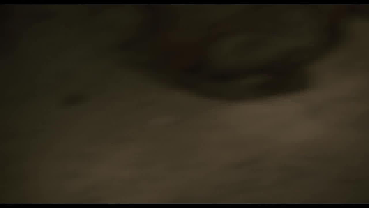 Hesher - Trailer - Französisch - SD