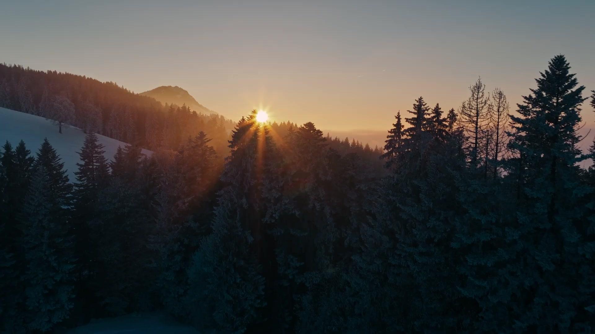 Urlaub mit Hindernissen - Trailer - Englisch - HD