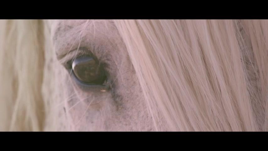 Free Spirit - Mustangs in Gefahr - Trailer - Deutsch - SD
