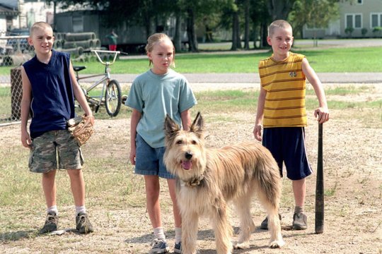 Winn-Dixie - Mein zotteliger Freund - Szenenbild 1