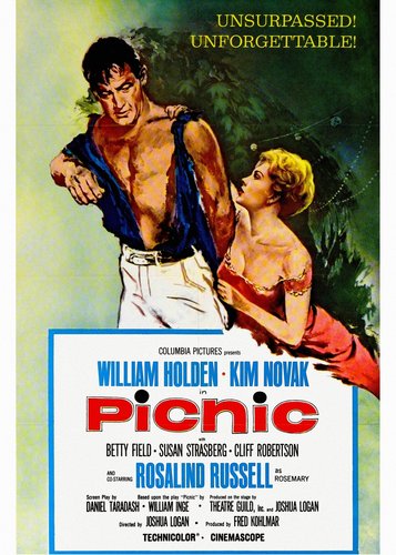 Picknick - Poster 2