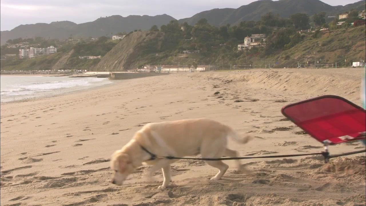 Ein Hund rettet den Weihnachtsurlaub - Trailer - Englisch - HD