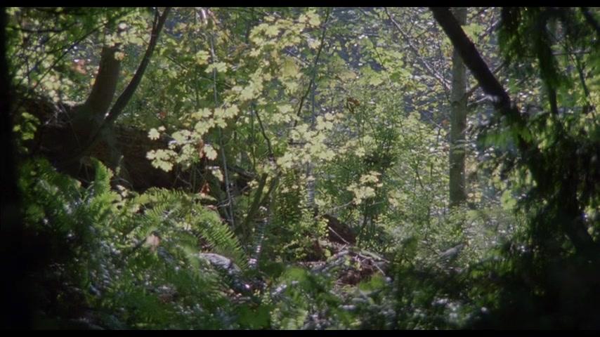 Bingo - Trailer - Deutsch - SD