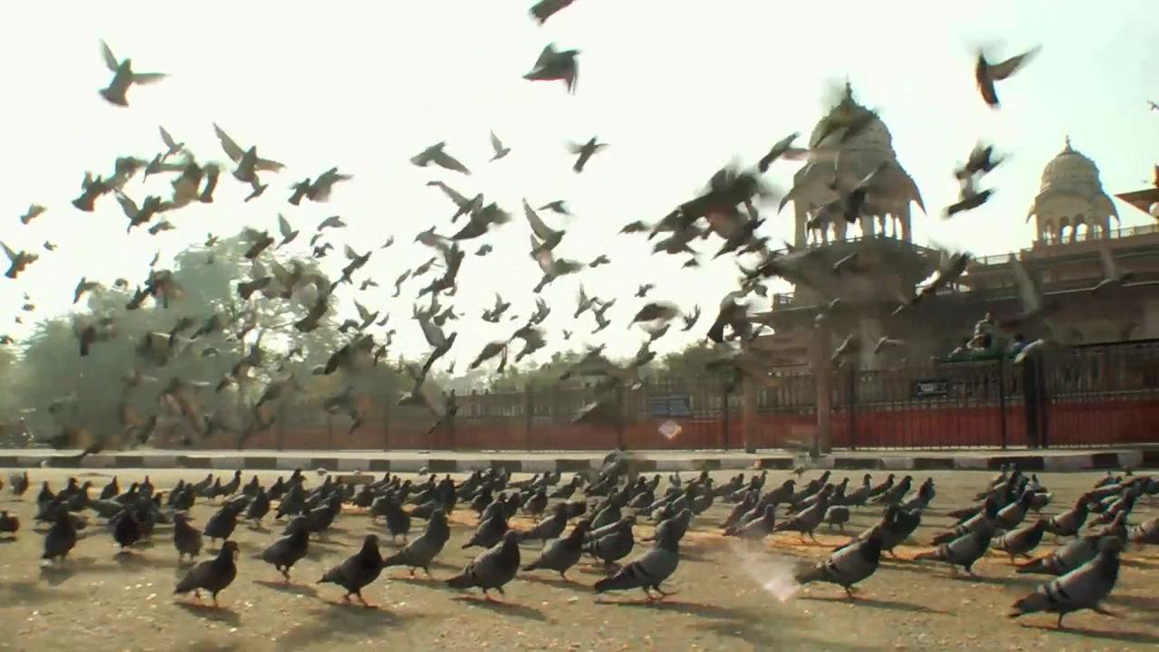 India - Trailer - Englisch - HD