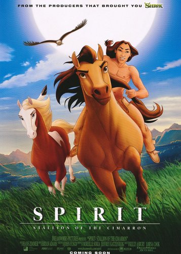 Spirit - Der wilde Mustang - Poster 4