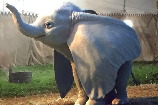 Dumbo - Szenenbild 9