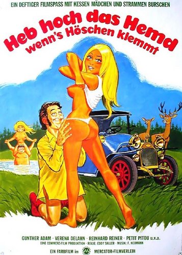 Liebe durch die Autotür - Poster 1