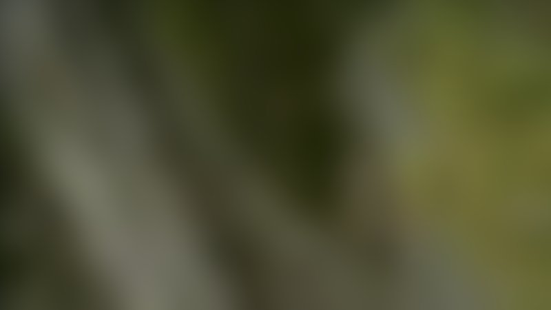 Die Jäger - Trailer - Deutsch - SD