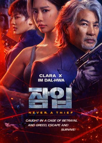 Never a Thief - Poster 4