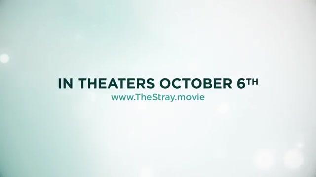 Pluto - Trailer - Englisch - SD
