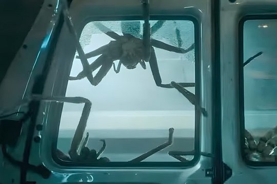 Spiders - Ihr Biss ist der Tod - Szenenbild 5