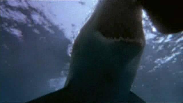 Shark Attack 3 - Trailer - Deutsch