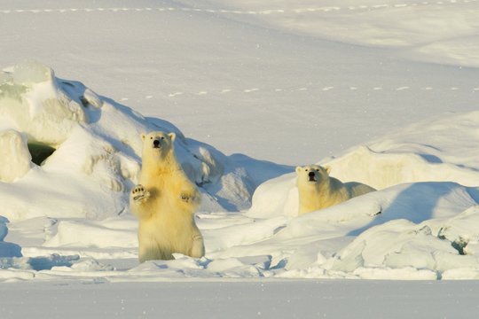 Frost ohne Schnee und Eis - Szenenbild 5