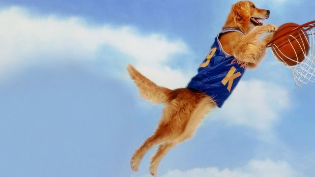 Air Bud - Champion auf vier Pfoten - Wallpaper 1