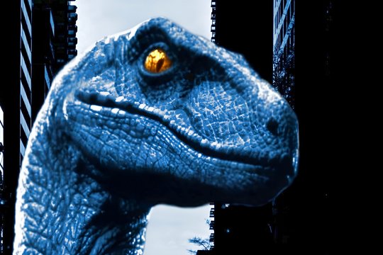 Raptor - Szenenbild 2