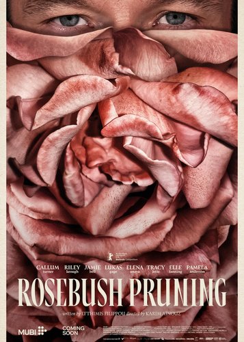 Rosebush Pruning - Poster 2