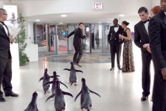Mr. Poppers Pinguine - Szenenbild 15
