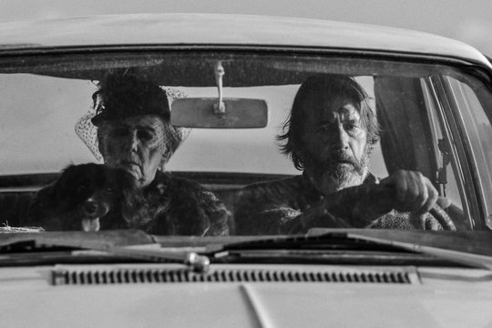 Driving Mum - Szenenbild 2