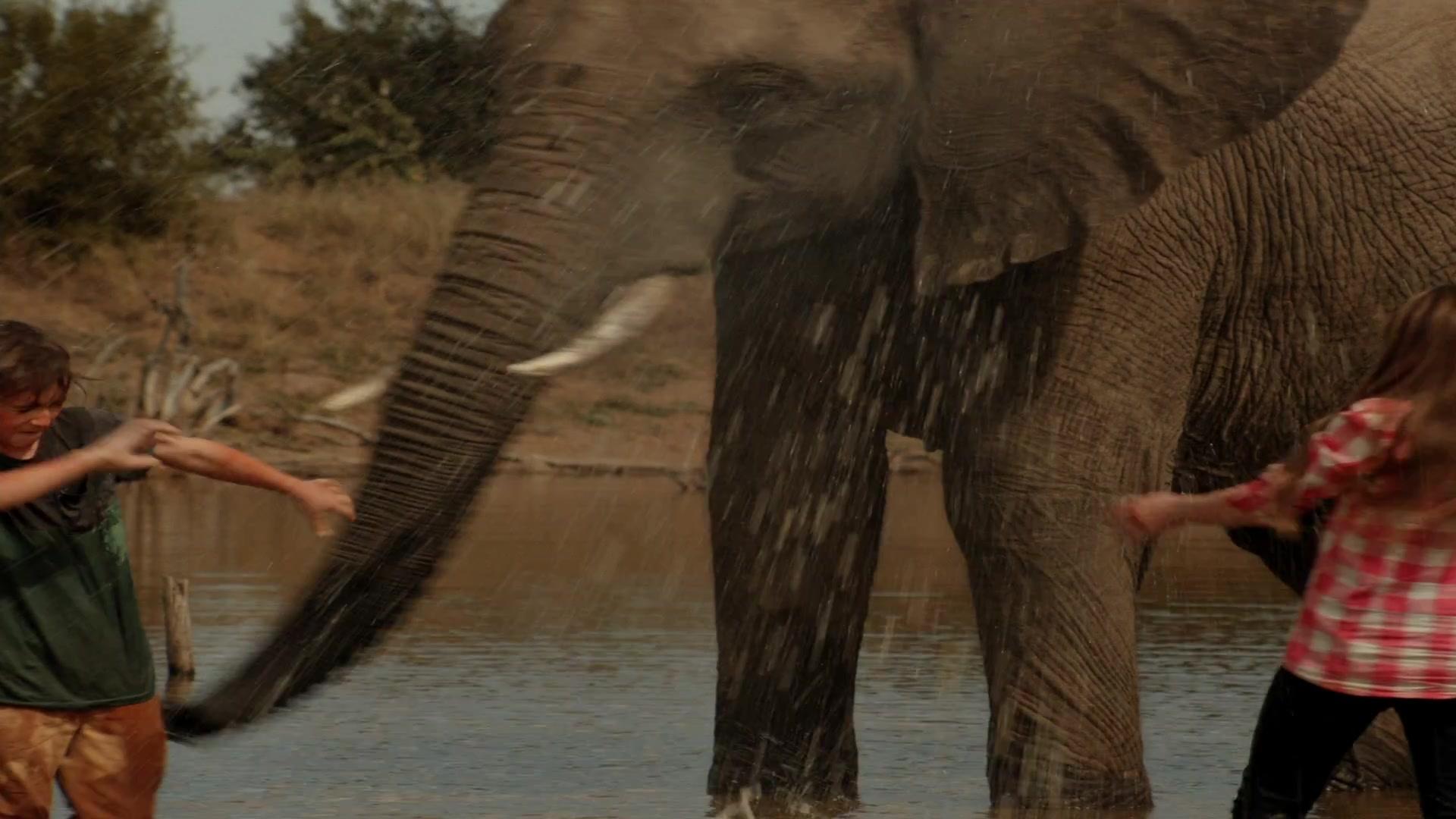 Kleine Helden, große Wildnis 2 - Trailer - Deutsch - HD