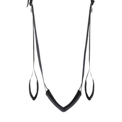 Deluxe Door Swing